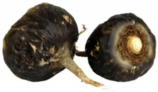 black maca for man health