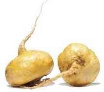 maca benefits