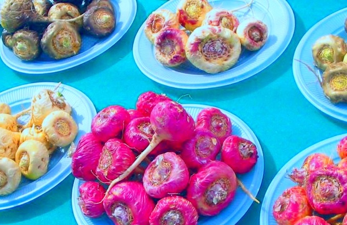 types of peruvian maca