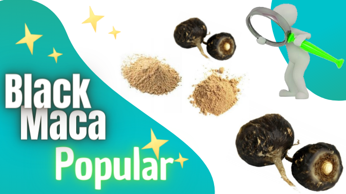 black maca popular