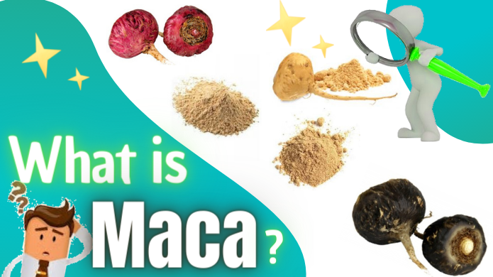 what is maca